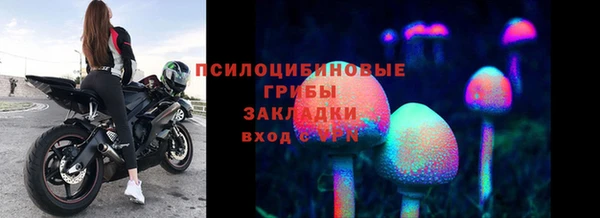 spice Балахна