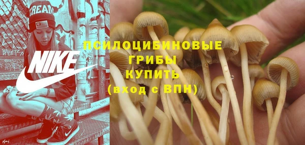 spice Балахна