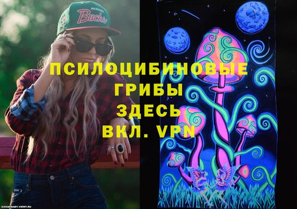 гидра Баксан